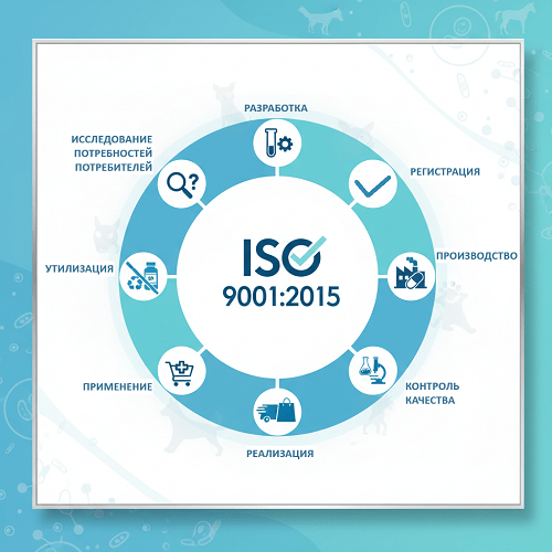 kachestvo img 2c min