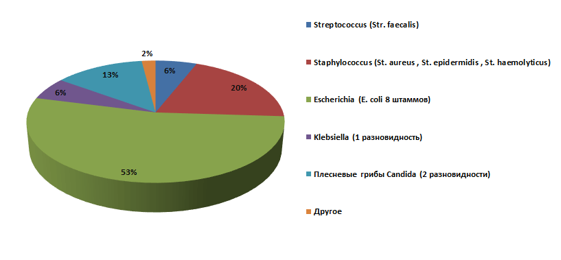 diagramm infect mastitis min