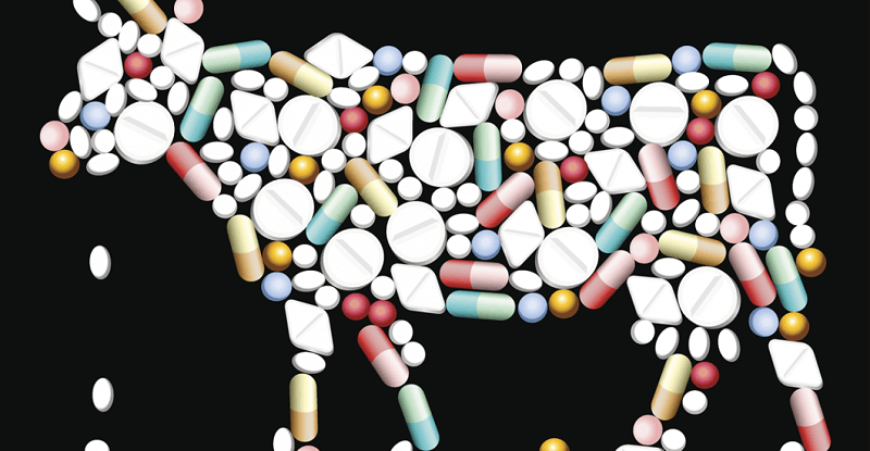 principles antibiotics therapy 2 min