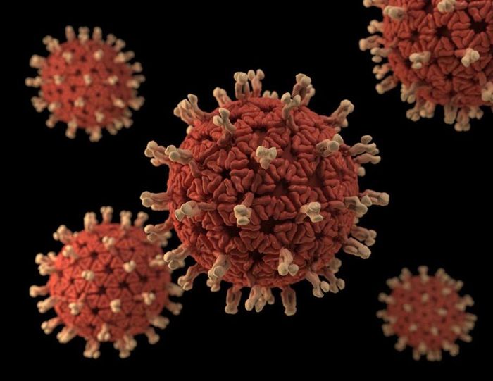 rotavirus 1